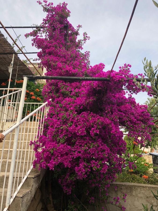 Apartamento Cozy New Flat For 2 Or 3 Hvar Town Exterior foto