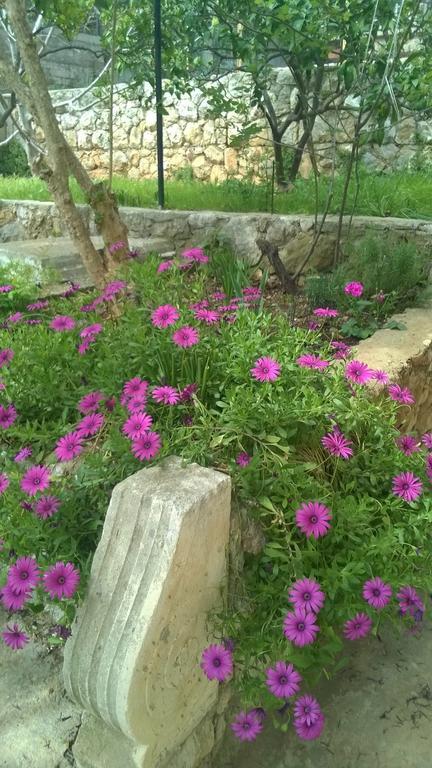Apartamento Cozy New Flat For 2 Or 3 Hvar Town Exterior foto